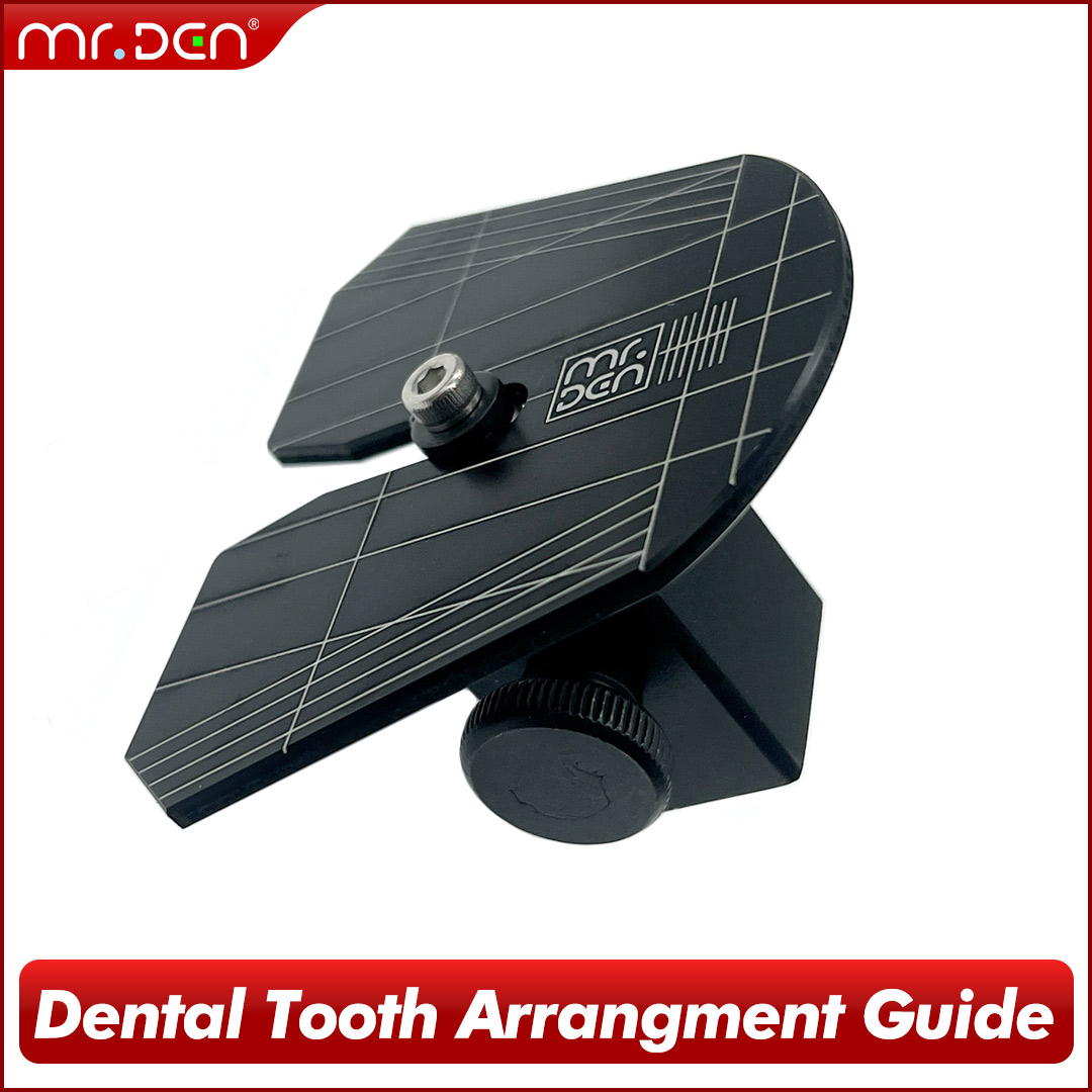 3D Printing Tooth - 2026 MR DEN 歯科用デジタル歯列配置ガイド 義歯ラボ用 3Dプリント歯科用ステント