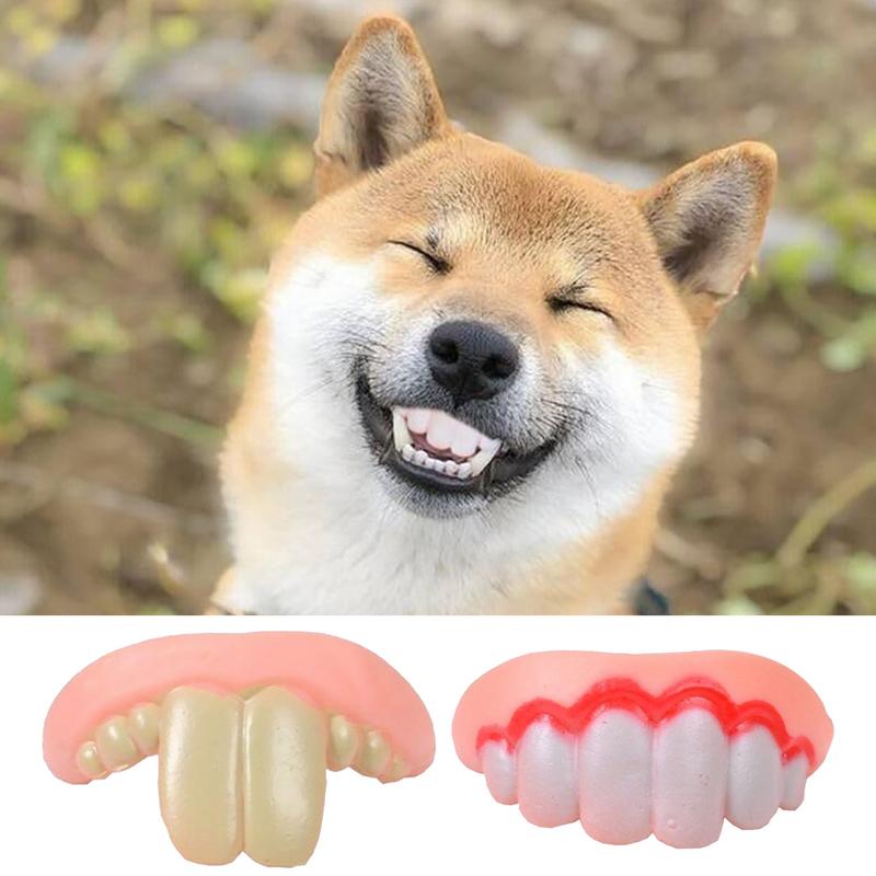 ペットコーギー犬入れ歯おもちゃウサギフロントバックティースカ - 3D Printing Tooth のレビューと価格