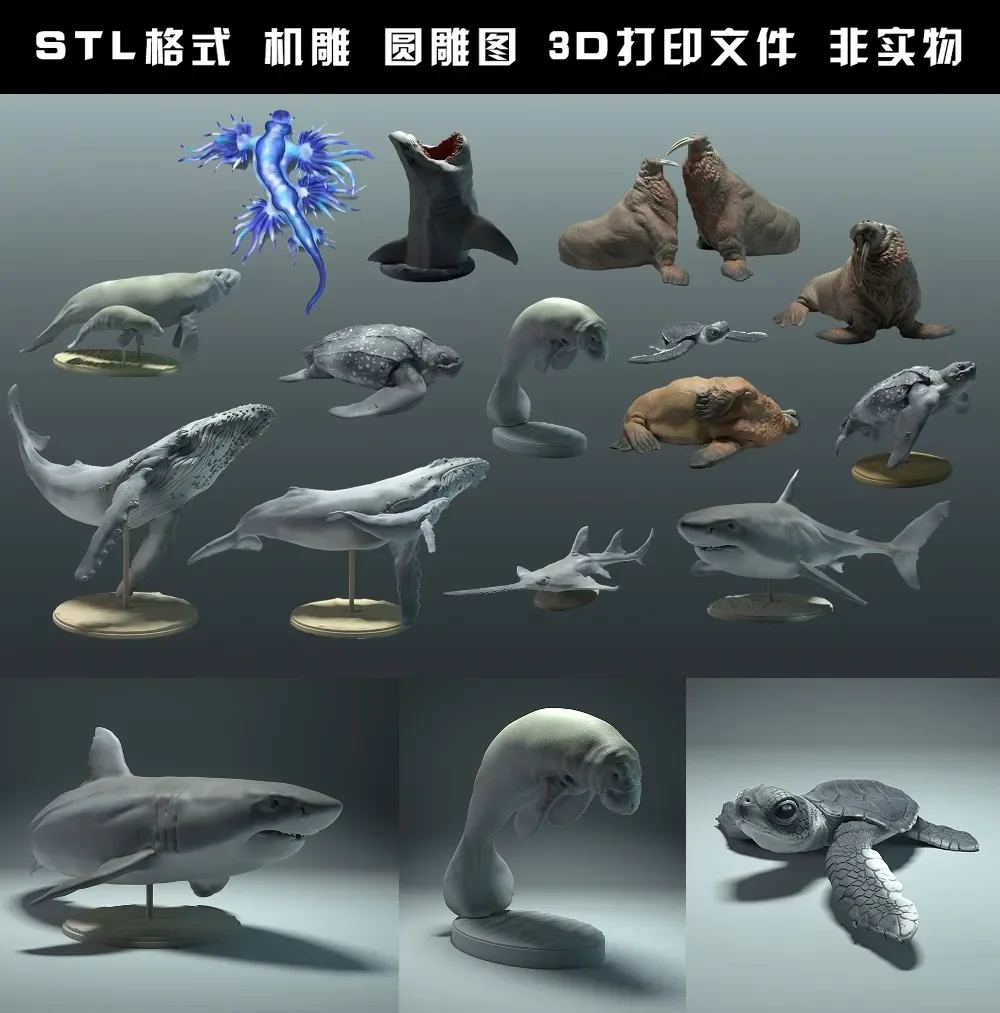 動物,ホッキョクグマ,タキン,オオカミ,ボソン,フェレット, - 3D Printing File のレビューと価格